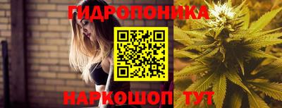 стафф Жуковский