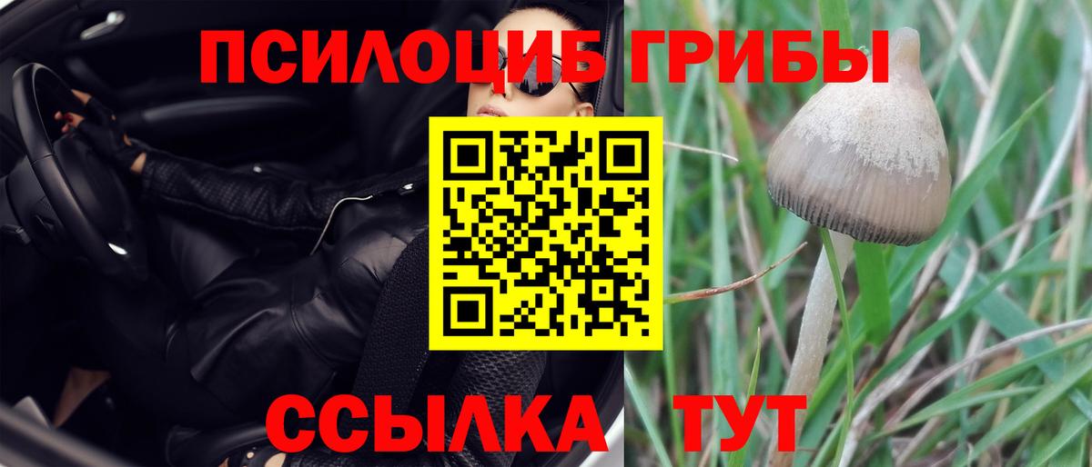 Псилоцибиновые грибы Cubensis  Псилоцибиновые грибы ЛСД  Вход с VPN  Минеральные Воды 